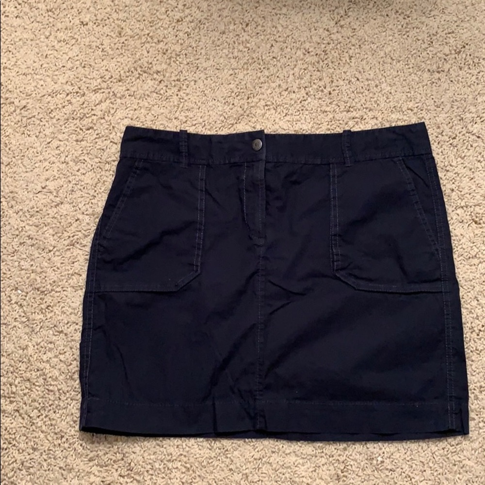 Ann Taylor skirt